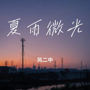 夏雨微光