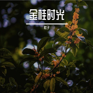 金桂时光 伴奏