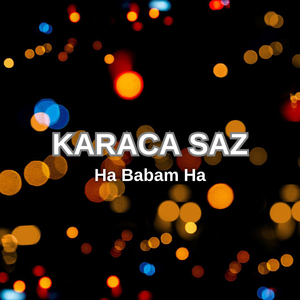 Ha Babam Ha
