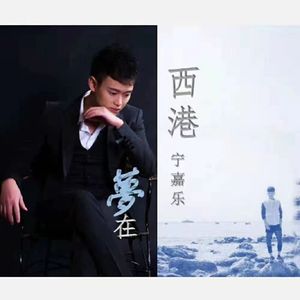 梦在西港 (DJ新版)