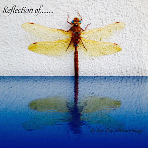 Reflection of Time