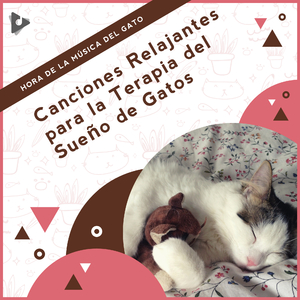 Sonidos relajantes para gatos