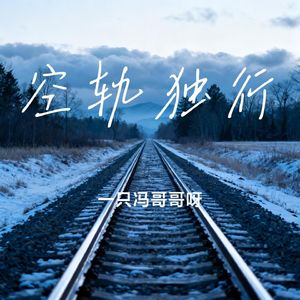空轨独行