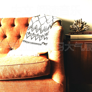 一尘不染长篇小说印象数