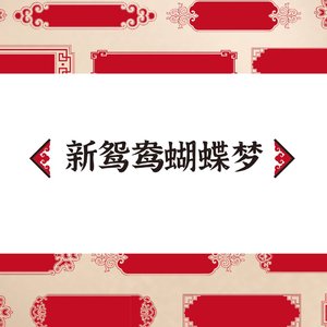 新鸳鸯蝴蝶梦