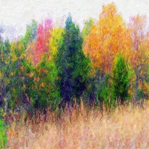 맑고 깨끗한 피아노