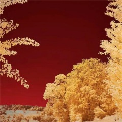 可惜我们终于来到一个句号 (男声版)