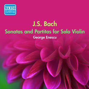 Violin Sonata No. 1 in G Minor, BWV 1001:III. Siciliano