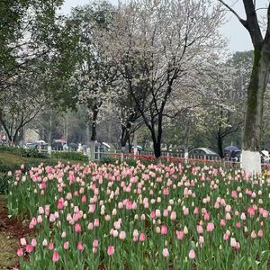 一首好听的免费小伴奏