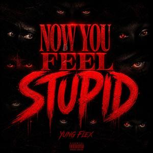 Now You Feel Stupid (feat. Yung Flex & MikeBeatz)