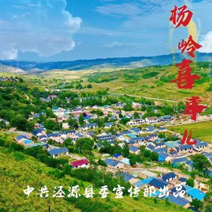 杨岭喜事儿