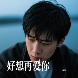 好想再爱你