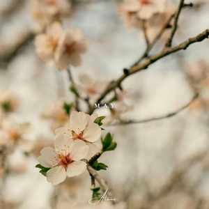 May