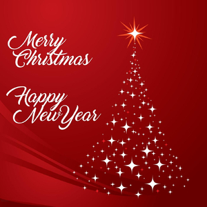 Merry Christmas, Happy New Year