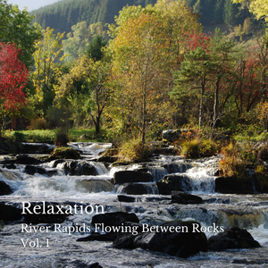 Slowing Down To Relax