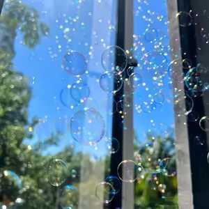 夏天的风（温柔懒懒的海风~）