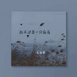 我不过是一只麻雀