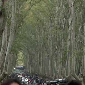 你的温柔让我犯罪（live版）