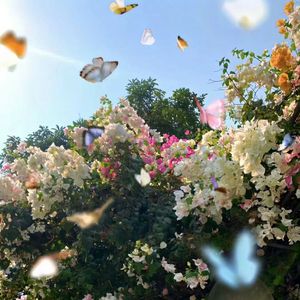 你吻了我这件小事