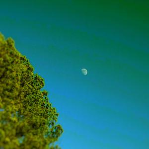 Plastic (Interlude) (feat. Eric Dutton)