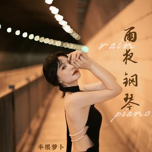 雨夜钢琴 (防城港进行曲dj版)