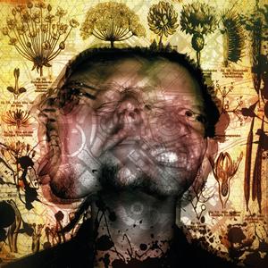 Moneypulation (feat. Yaminahua)