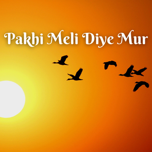Pakhi Meli Diye Mur