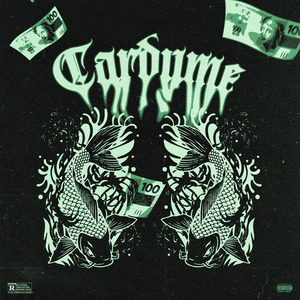 Cardume