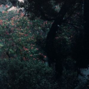 她是造物狂难辞其咎的败笔