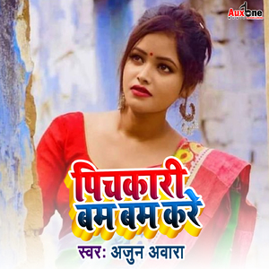 Pichakari Bam Bam Kare
