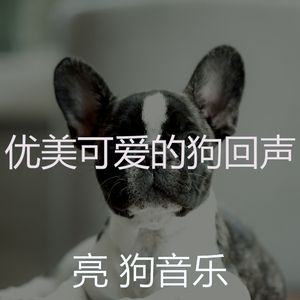 温和训练你的狗梦想
