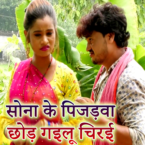 Sona Ke Pijadwa Chhod Gailu Chirai