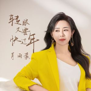 转眼又要快过年 (DJ版)