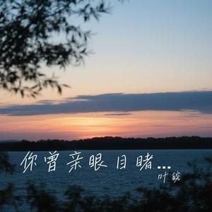 你曾亲眼目睹他为你吃过的苦 (Cover 徐暖暖)