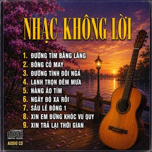 Lạnh Trọn Đêm Mưa - Hòa Tấu Guitar Không Lời