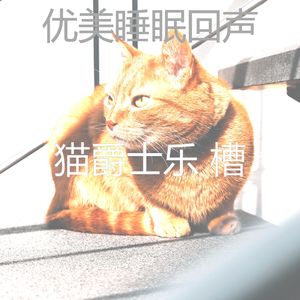 柔和的猫在家时刻