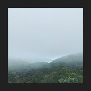 茶颂