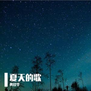 夏天的歌