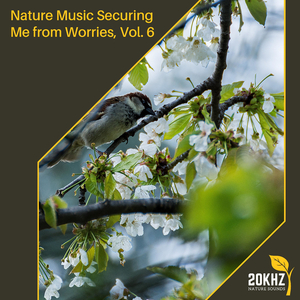 The State Of Crickets