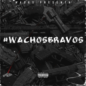 Wachos Bravos