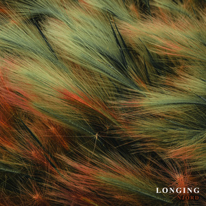 Longing