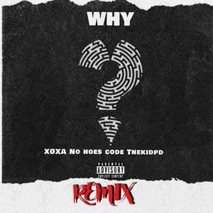 Why (feat. No Hoes Code & TheKidPD) (Remix) (Remix)