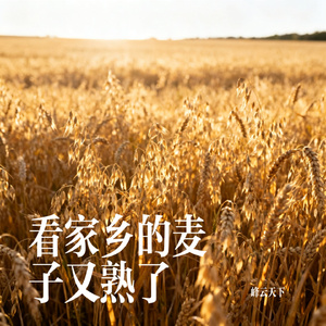 看家乡的麦子又熟了