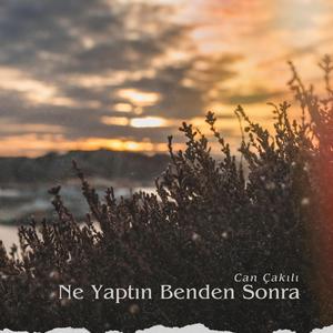 Ne Yaptın Benden Sonra