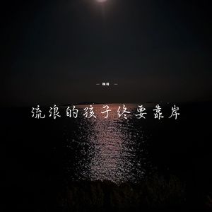 流浪的孩子终要靠岸