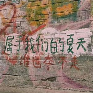 十七 梦 花