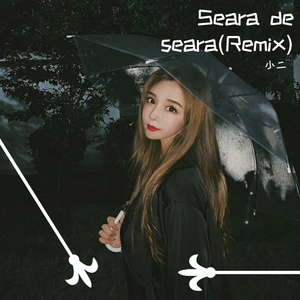 Carla'sDreams-Seara de seara(Remix)（小二 remix）