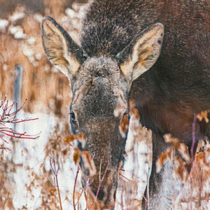 Not Enough Time to Believe in You