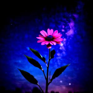 어두워질 때까지