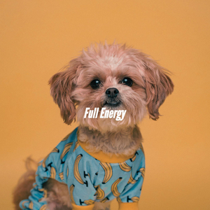 Superlative Moods for Creativity in Fall